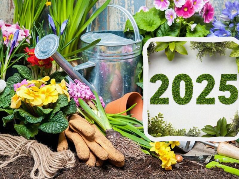 sejos-kalendorius-2025
